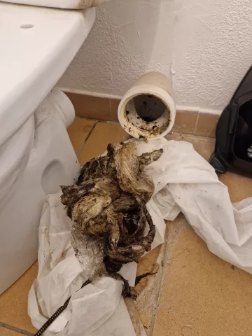 Intervention assainissement - Galerie interventions - Débouchage WC - Débouchage WC